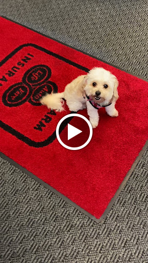 Insurance Agency «Steve Barnes - State Farm Insurance Agent», reviews and photos