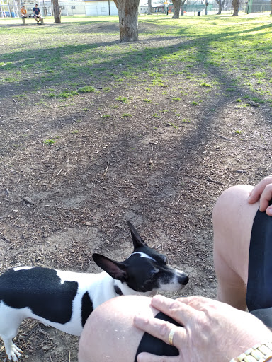 Public Golf Course «Starcke Park Golf Course», reviews and photos, 650 River Dr W, Seguin, TX 78155, USA