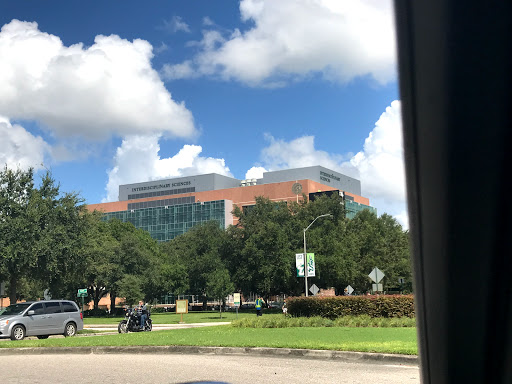 Cursos medicina campus Tampa