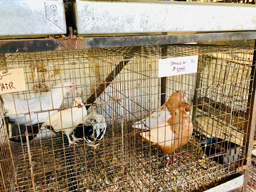 Quality Feed & Garden Inc.