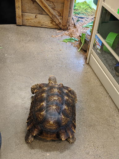 Pet Supply Store «Premier Pet Supply», reviews and photos, 31215 Southfield Rd, Beverly Hills, MI 48025, USA