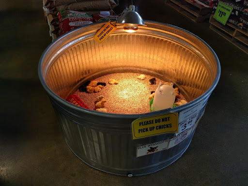 Pet Supply Store «Concord Feed Pet & Livestock Supplies», reviews and photos, 7104 Dublin Blvd, Dublin, CA 94568, USA