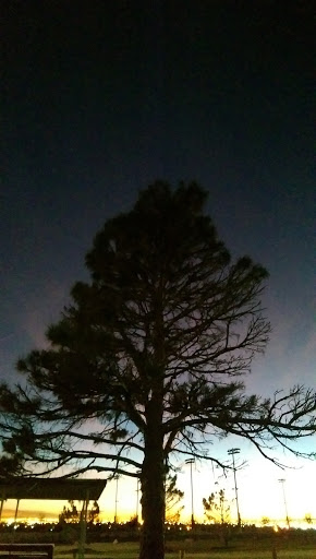 Park «Blackie Chesher Park», reviews and photos, 1100 N Zaragoza Rd, El Paso, TX 79907, USA