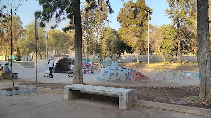 Skate Park - Parque O'Higgins