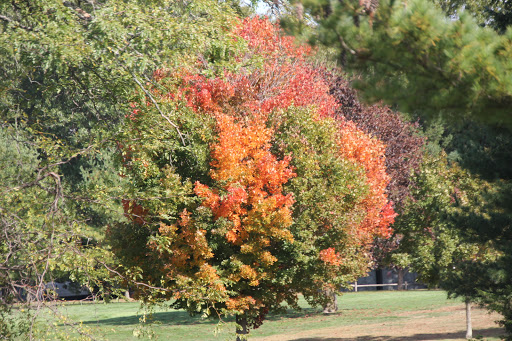 Park «Eisenhower Park», reviews and photos, 1899 Park Blvd, Westbury, NY 11590, USA