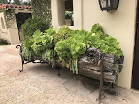 Heaviland Landscape Management - Photo 8 - Car repair in Vista, CA, Oceanside