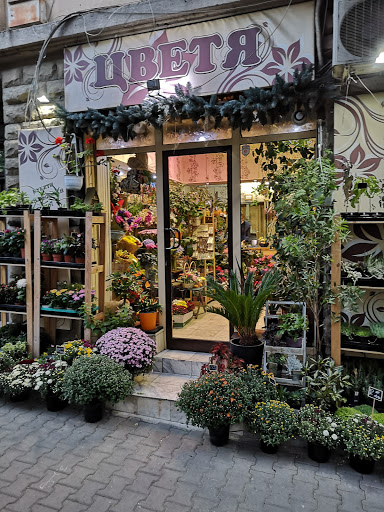 Магазин за цветя - Flowershop - пл. Журналист