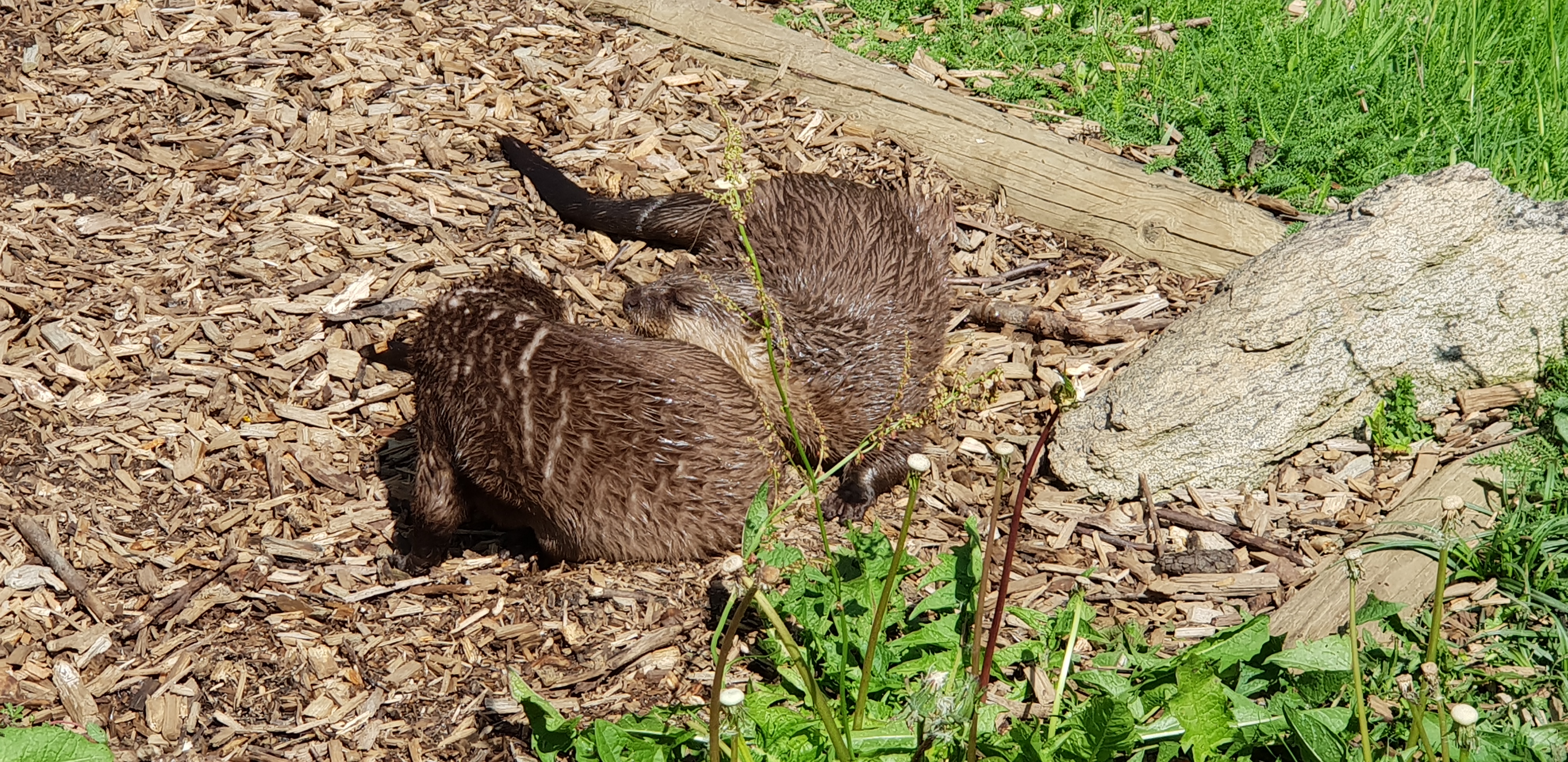 Photo n° 8 de l'avis de Lady.a fait le 24/05/2018 à 16:49