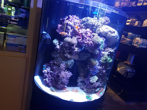 Tropical Fish Store «Picasso Exotic Aquatics», reviews and photos, 11560 Ash St, Leawood, KS 66211, USA