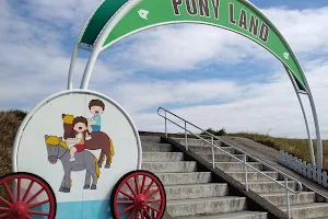 Shinozaki Pony Land image