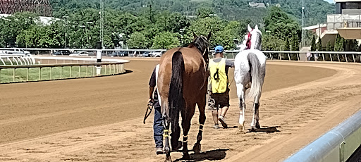 Racecourse «Belterra Park Gaming», reviews and photos, 6301 Kellogg Rd, Cincinnati, OH 45230, USA