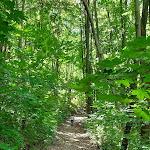 Photo n°1 de l'avis de Thomas.a fait le 18/07/2022 à 13:30 sur le  Fuchsturm Jena à Jena