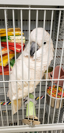 Pet Store «Pet World Warehouse Outlet», reviews and photos, 2984 S 108th St, Milwaukee, WI 53227, USA