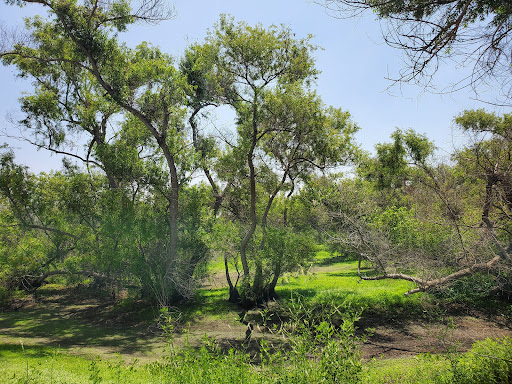 Nature Preserve «Madrona Marsh», reviews and photos, 3201 Plaza del Amo, Torrance, CA 90503, USA