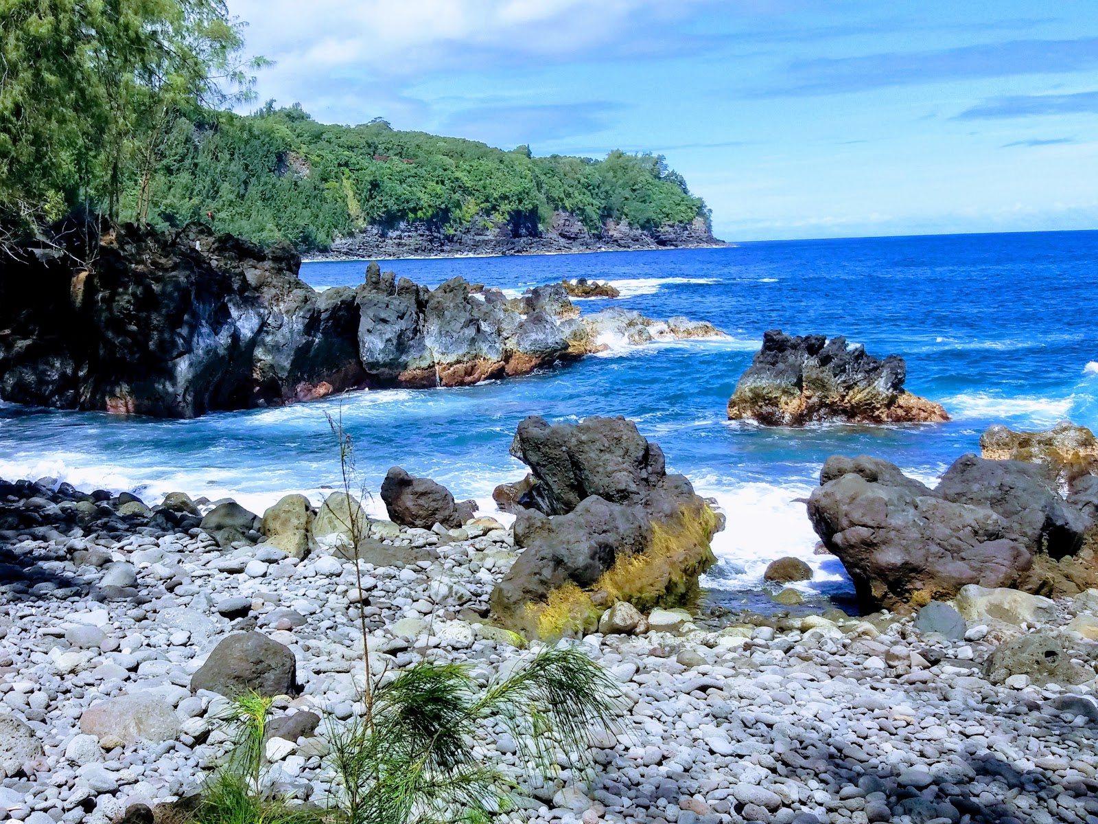 Laupahoehoe Beach'in fotoğrafı çok temiz temizlik seviyesi ile