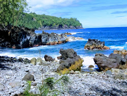 Laupahoehoe Beach'in fotoğrafı çok temiz temizlik seviyesi ile