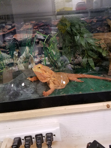 Pet Store «Brooklyn Zoo & Aquarium Pet Store», reviews and photos, 2377 Ralph Ave, Brooklyn, NY 11234, USA