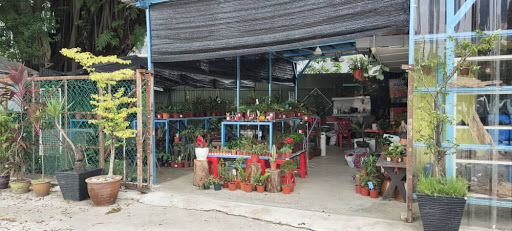 Florishaa Nursery