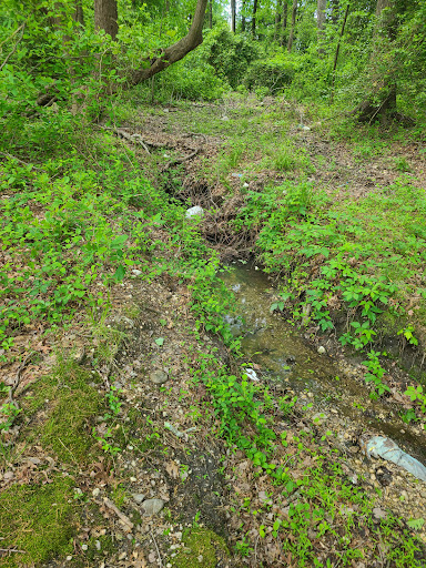 St. Charles Lake Trail