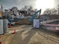 信州グリーン
