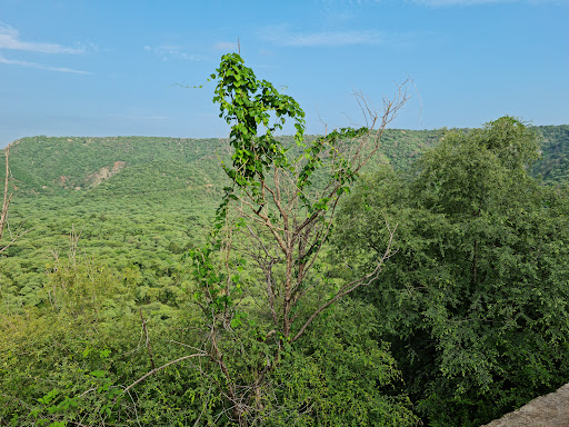 Jhalana Safari Park