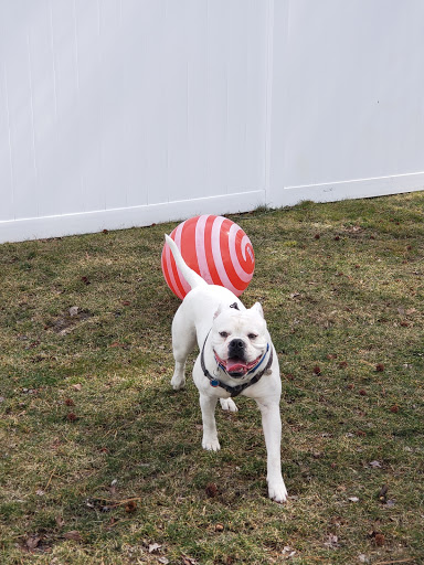 Pet Supply Store «Pet Valu», reviews and photos, 55 U.S. 9, Manalapan Township, NJ 07726, USA