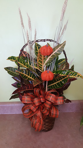 Florist «Village Florist», reviews and photos, 12315 Judson Rd, San Antonio, TX 78233, USA