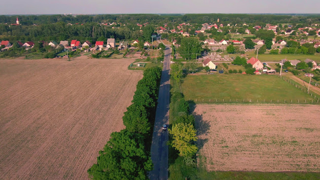 Polgármesteri Hivatal Gerjen - Közjegyző