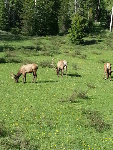 Used Car Dealer «EURO-TECH SAAB», reviews and photos, 1122 E Central Ave, Wichita, KS 67214, USA