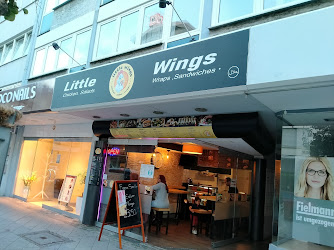 Little wings Frankenthal