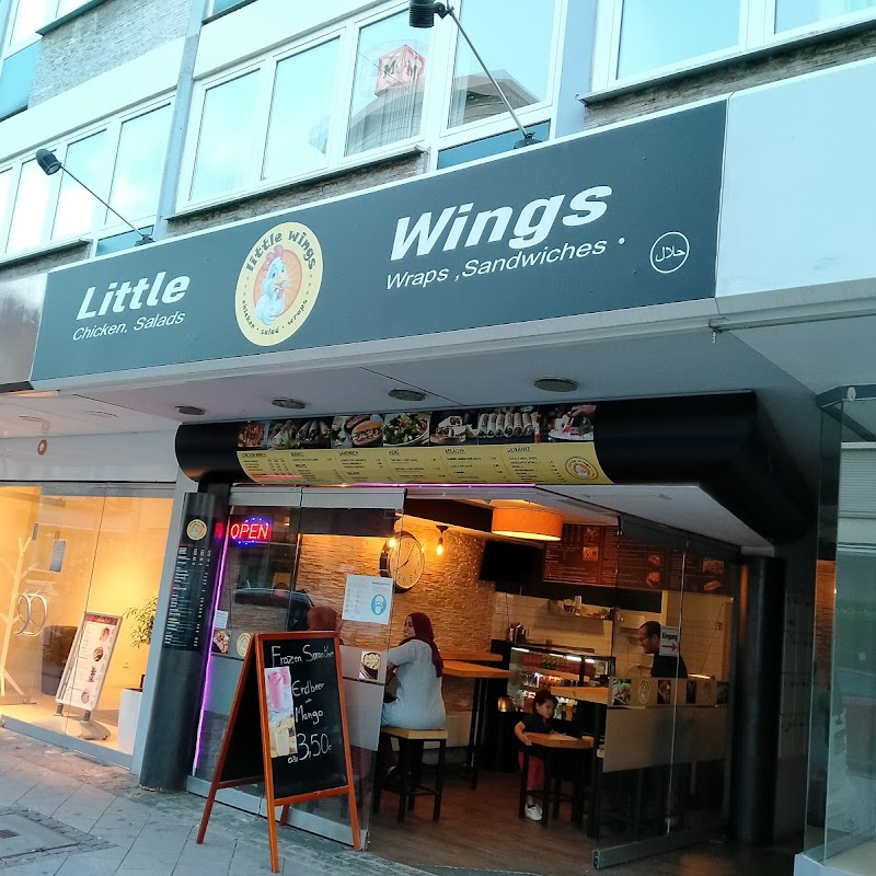 Little wings Frankenthal