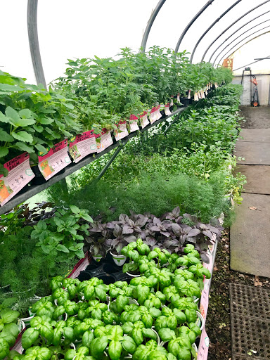 Pet Supply Store «Bethel Feed & Supply Pet & Garden Center», reviews and photos, 528 W Plane St, Bethel, OH 45106, USA