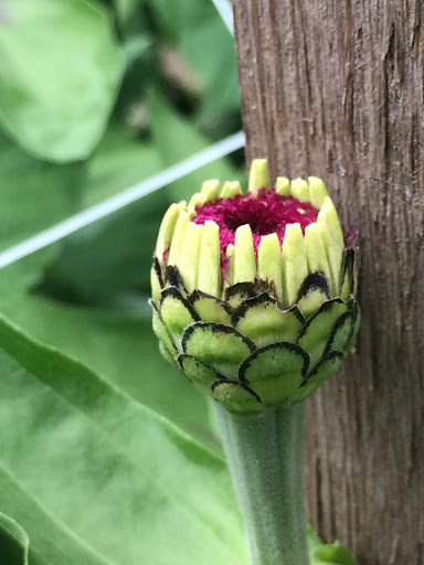 Produce Market «Highland Orchards Farm Market», reviews and photos, 1431 Foulk Rd, Wilmington, DE 19803, USA