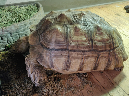 Pet Store «Critter Cabana», reviews and photos, 516 E 1st St, Newberg, OR 97132, USA