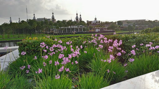 Park «Curtis Hixon Waterfront Park», reviews and photos, 600 N Ashley Dr, Tampa, FL 33602, USA