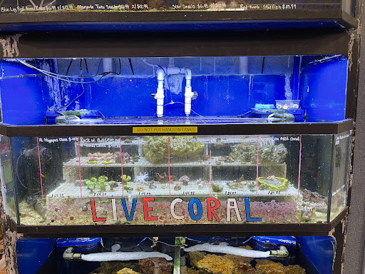 Pet Store «Creature Comforts», reviews and photos, 1250 Front St, Binghamton, NY 13901, USA