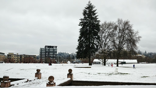 Memorial Park «Downtown Park», reviews and photos, 10201 NE 4th St, Bellevue, WA 98004, USA