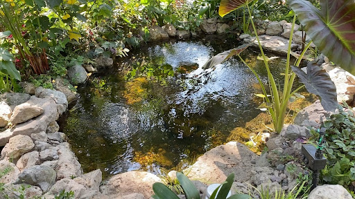 DreamScapes Water Features & Landscape image
