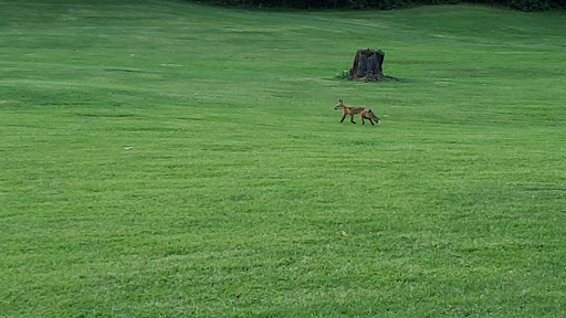 Golf Course «Concord Park Par 3», reviews and photos, 10909 S Northshore Dr, Knoxville, TN 37922, USA