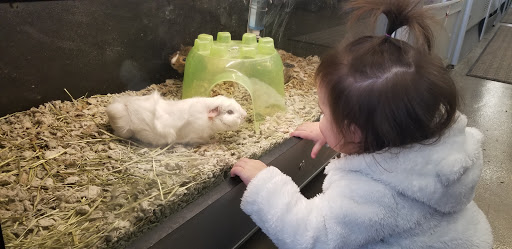 Pet Supply Store «Pet Supplies Plus», reviews and photos, 1970 Portage Trail, Cuyahoga Falls, OH 44223, USA