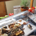 Photo n°2 de l'avis de Ronny.o fait le 25/07/2021 à 11:29 sur le  Best Western Ahorn Hotel Oberwiesenthal - Adults Only à Oberwiesenthal