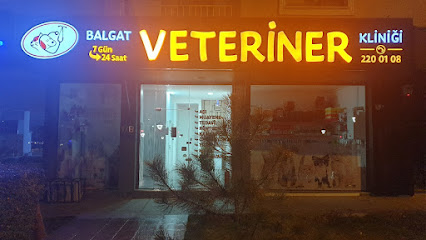 Balgat Veteriner Kliniği