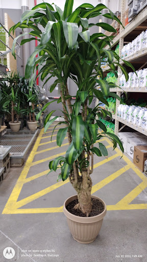 Home Improvement Store «The Home Depot», reviews and photos, 601 Woollomes Ave, Delano, CA 93215, USA