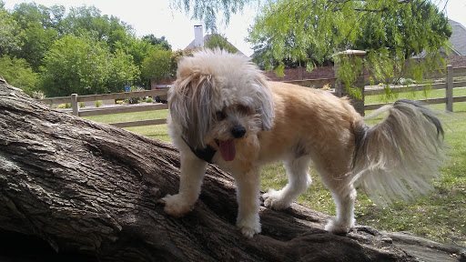 Park «Midway Park», reviews and photos, 615 N Main St, Euless, TX 76039, USA