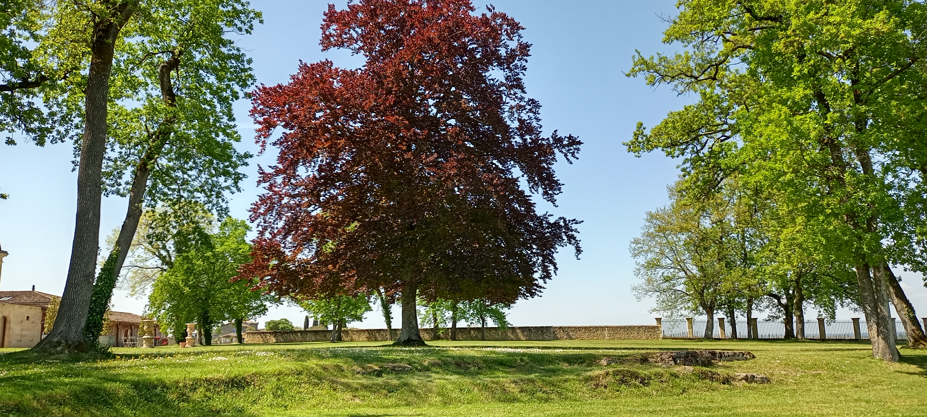 Photo n° 26 de l'avis de Manu.i fait le 30/08/2017 à 10:07