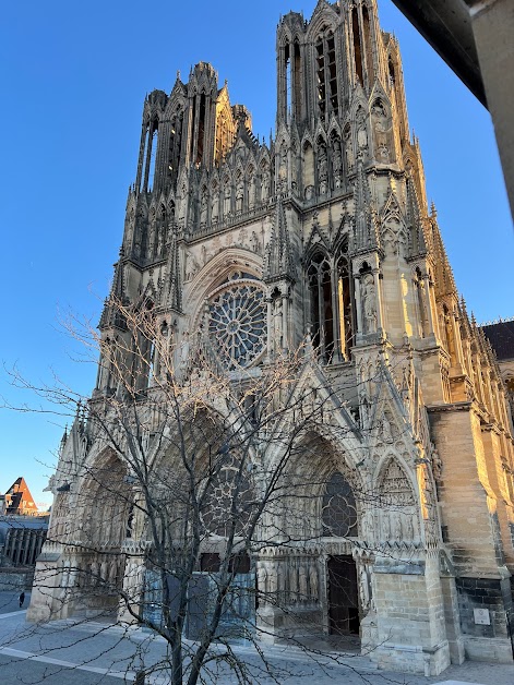Peregrine ´s Nest #Reims #rbnb à Reims (Marne 51)