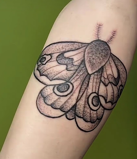 Find cute bear tattoo ideas for your next unique tattoo in Asheville at Drawing Board Tattoo