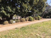 上総国分僧寺 金堂跡