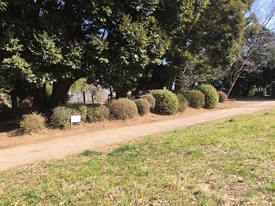 上総国分僧寺 金堂跡