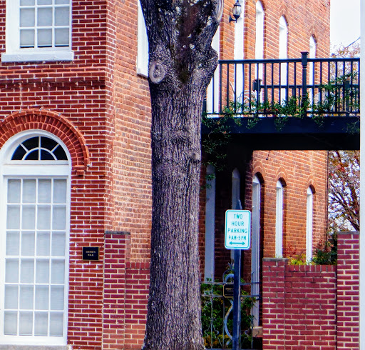 Produce Market «Madison Produce», reviews and photos, 132 E Washington St, Madison, GA 30650, USA